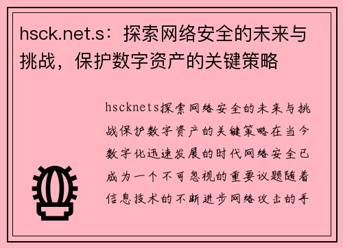 hsck.net.s：探索网络安全的未来与挑战，保护数字资产的关键策略